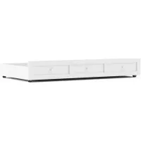 Kids Modern Colors White Twin Storage Trundle