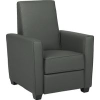 Kids Alvie Gray Recliner