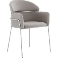 Portalane Gray Dining Chair, Set of 2