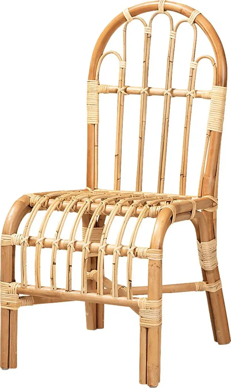 Brevoort Brown Side Chair
