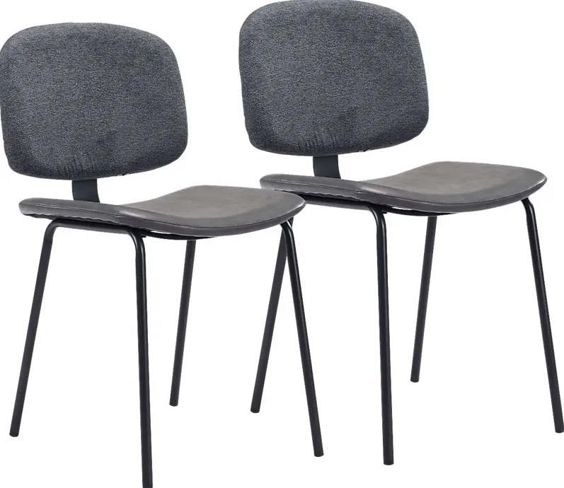 Xenodice Gray Side Chair, Set of 2