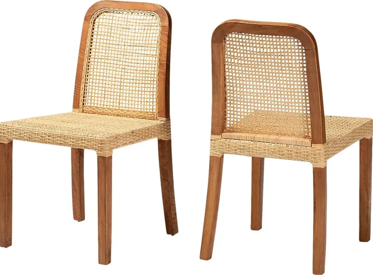 Basian Brown Side Chair, Set of 2