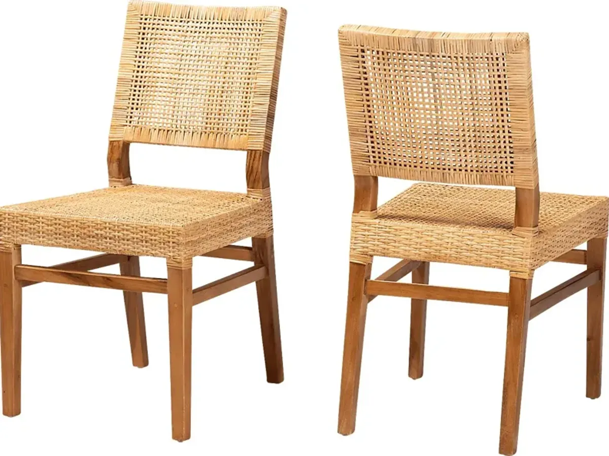 Elesya Brown Side Chair, Set of 2