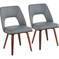 Raevalley Gray Side Chair, Set of 2