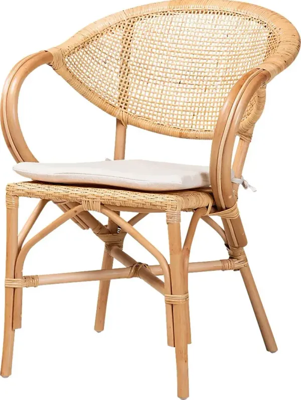 Aquadilla Brown Arm Chair