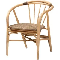 Colmillo Brown Arm Chair