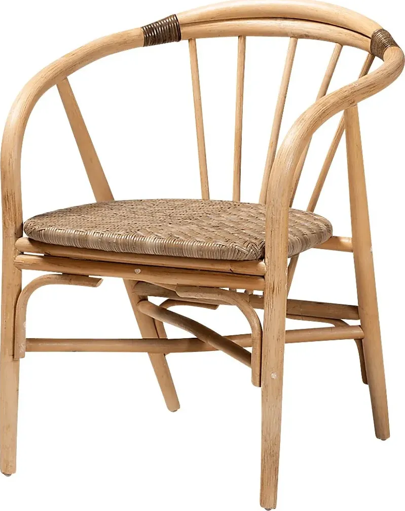 Colmillo Brown Arm Chair