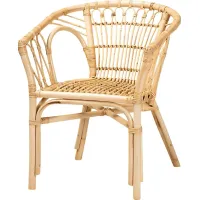 Elinaor Brown Arm Chair