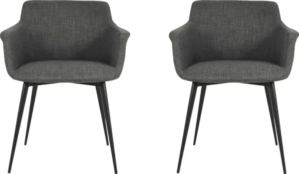 Farren Gray Arm Chair, Set of 2