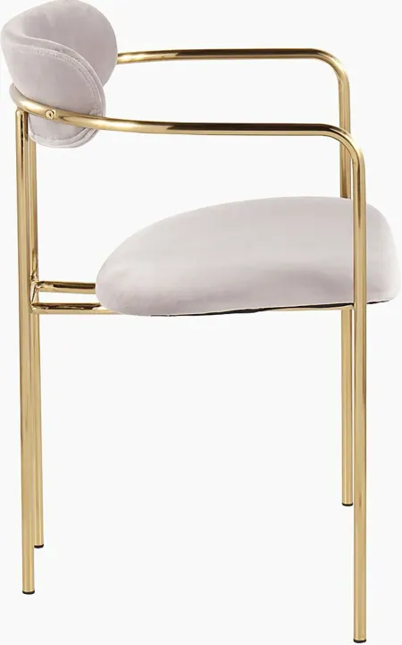 Astellan Silver Arm Chair, Set of 2