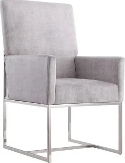 Light Gray color