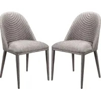 Zelrich Gray Dining Chair (Set of 2)
