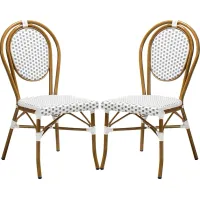 Braganza Gray Dining Chair, Set of 2