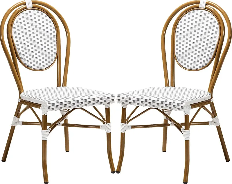 Braganza Gray Dining Chair, Set of 2