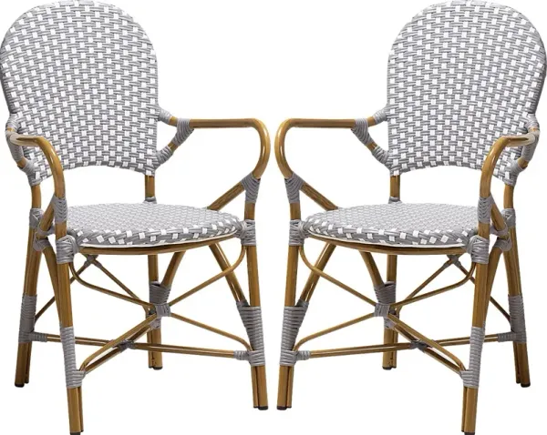 Fossi Gray Arm Chair, Set of 2