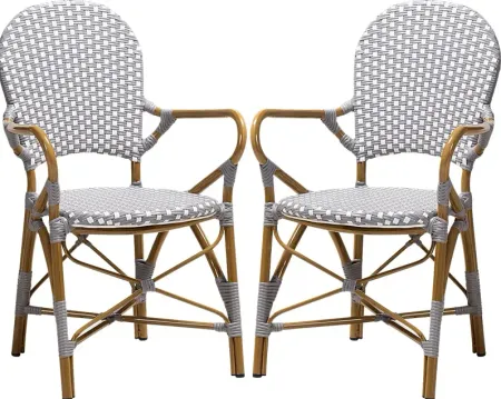 Fossi Gray Dining Chair, Set of 2