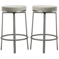 Rourke Gray Counter Height Swivel Stools (Set of 2)