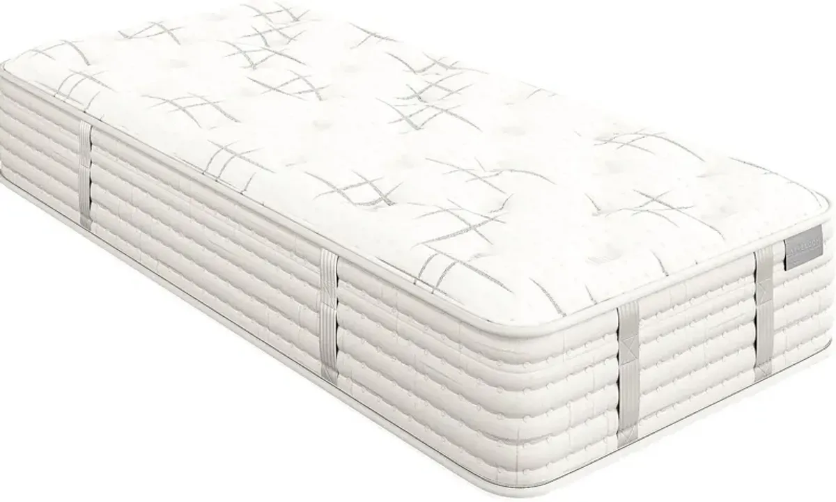 Aireloom Monterrey Twin XL Mattress