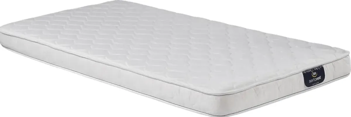 Serta Davenbury Twin Mattress