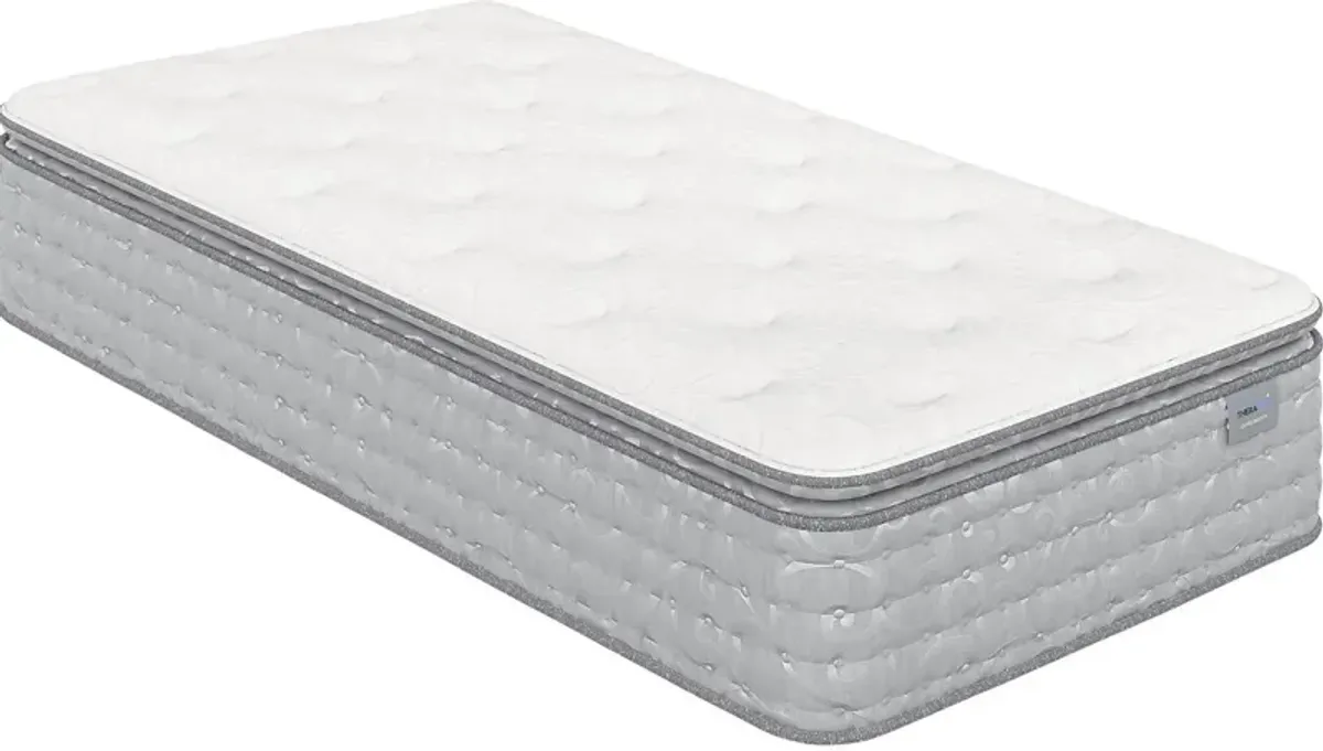 Therapedic Darlington Twin Mattress