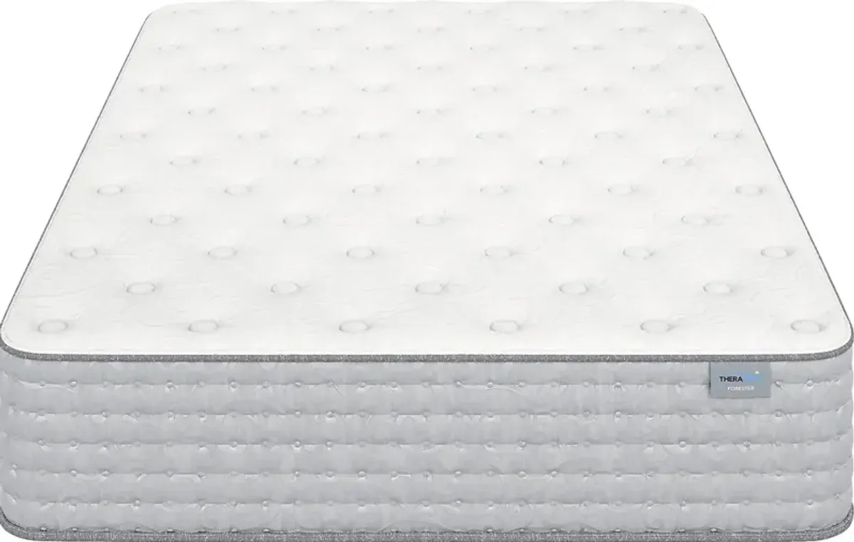 Therapedic Forester Queen Mattress