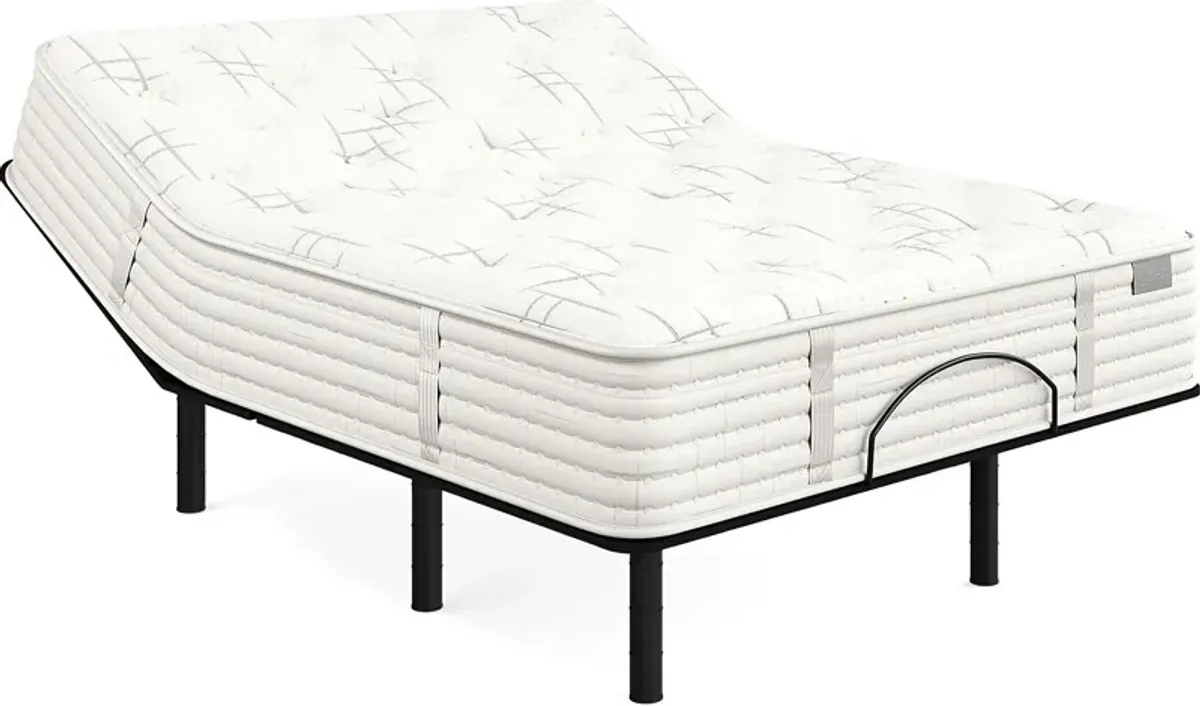 Aireloom Carmel Queen Mattress Set with RTG-Sleep 3100