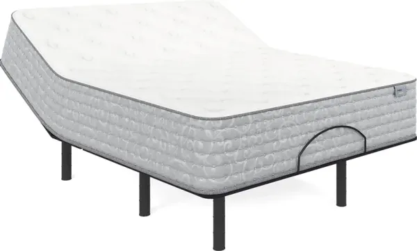 Therapedic Forester Queen Mattress with Head Up Only Base