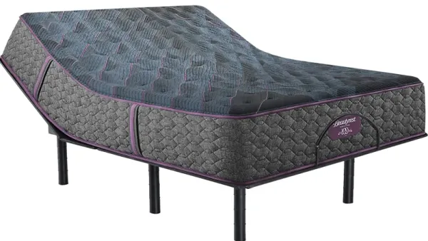 Beautyrest World Class Level Three Plush Queen Mattress Set with Head Up Only Base