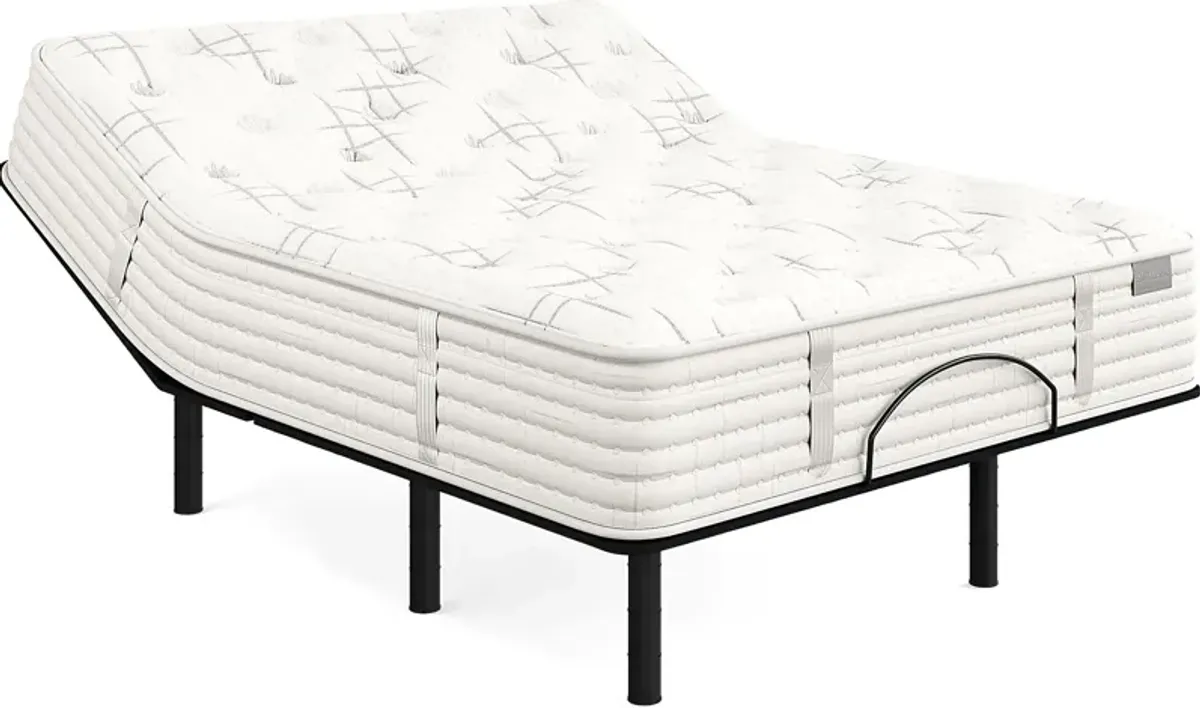 Aireloom Monterrey Queen Mattress Set with Head Up Only Base