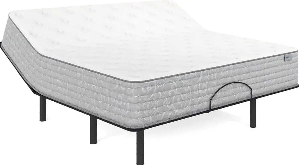 Therapedic Forester King Mattress with Head Up Only Base