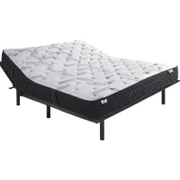 Therapedic Essence King Mattress with Head Up Only Base