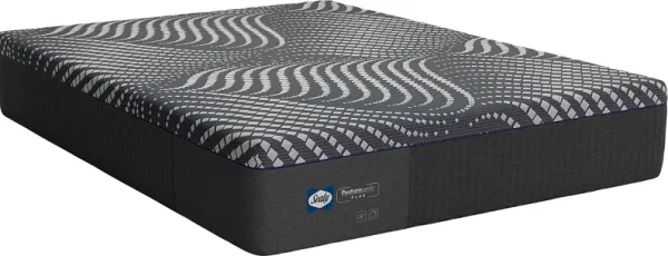 Sealy Posturepedic Plus Albany Foam King Mattress with Head Up Only Base