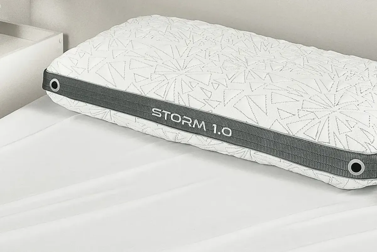 Bedgear Storm 1.0 King Pillow