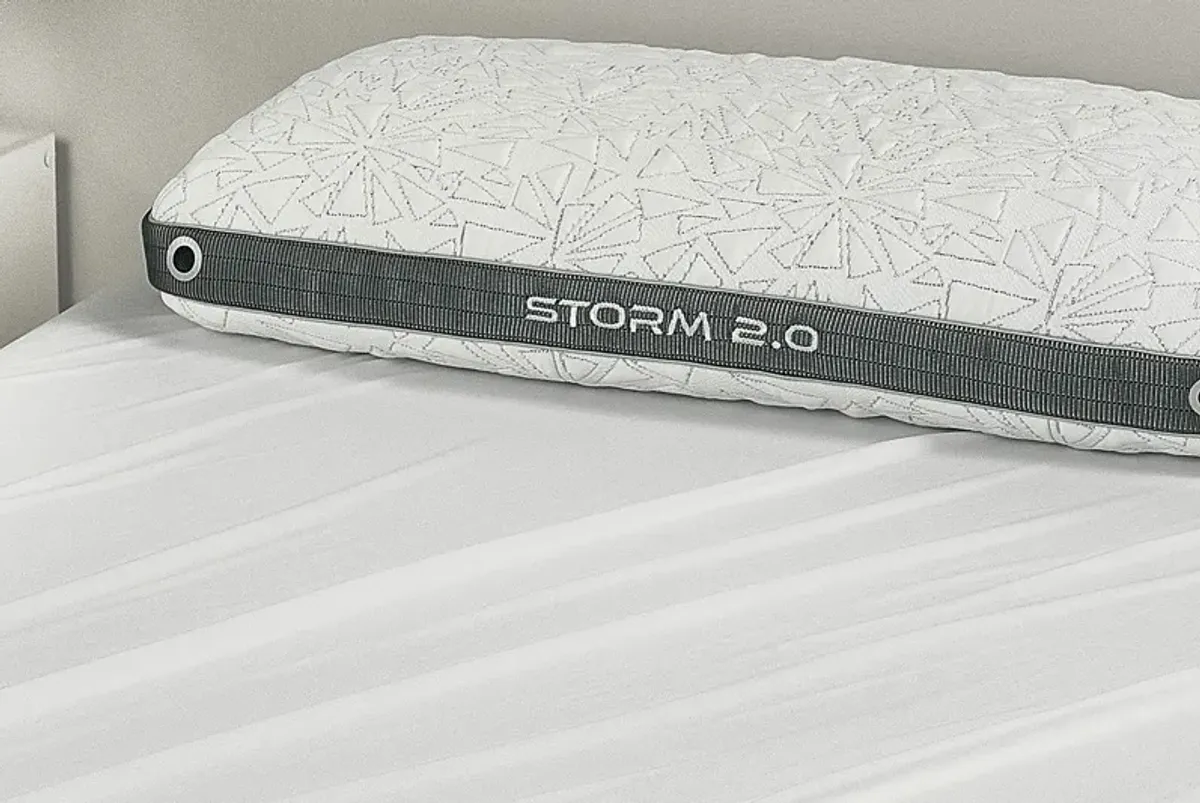 Bedgear Storm 2.0 King Pillow