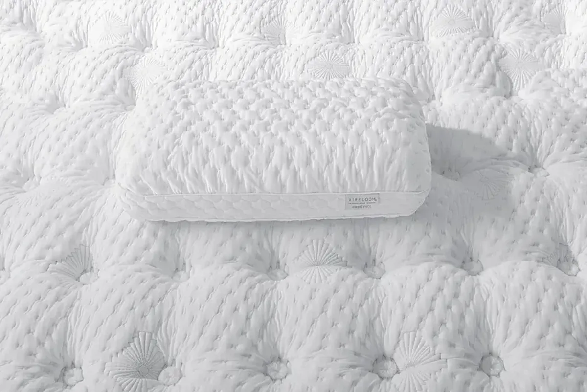 Aireloom Queen Nimbus High Profile Pillow