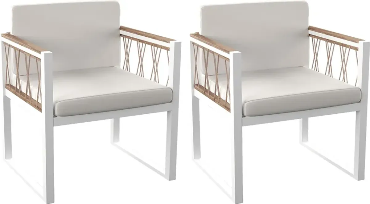 Outdoor Aldwell White Accent Chair, Set of 2