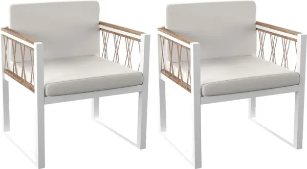 Outdoor Aldwell White Accent Chair, Set of 2