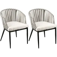 Eavie Natural Outdoor Accent Chair, Set of 2