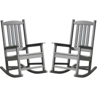 Brocky Gray Outdoor Rocking Chair, Set of Two
