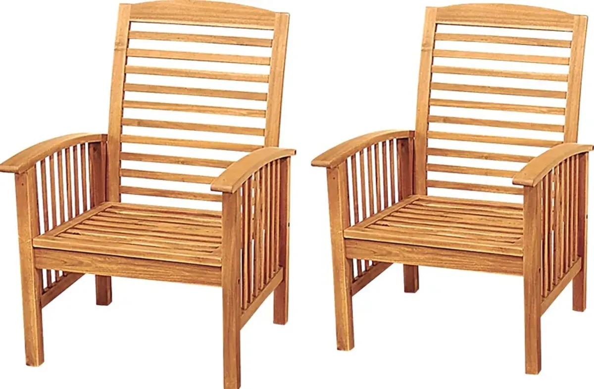 Dunsmere Brown Outdoor Accent Chair, Set of 2