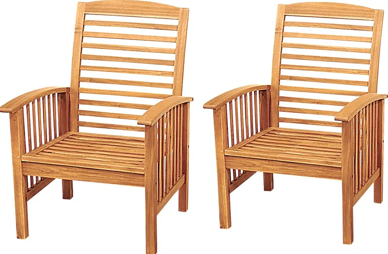 Dunsmere Brown Outdoor Accent Chair, Set of 2