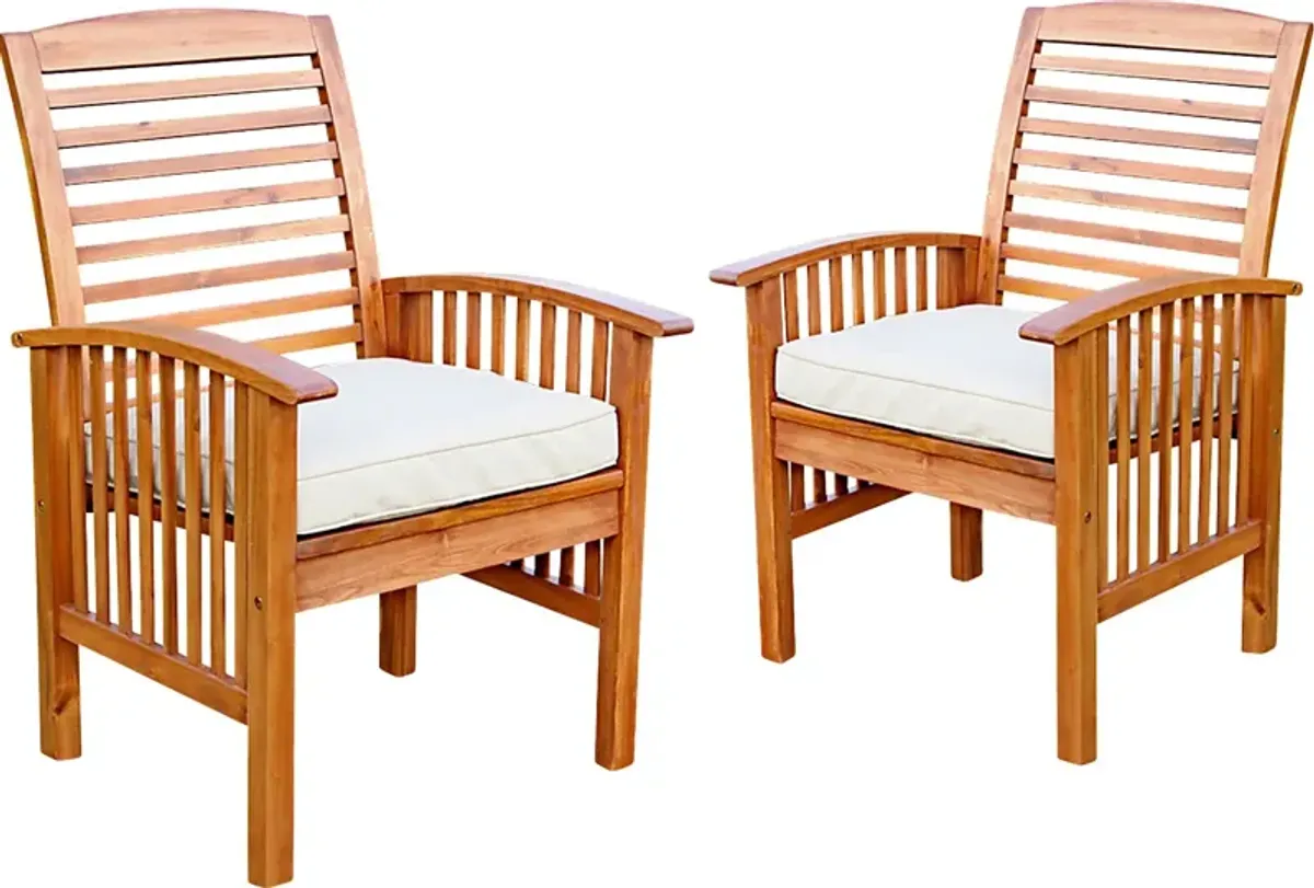 Dunsmere Brown Outdoor Accent Chair, Set of 2