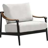 Harlowe Black Outdoor Club Chair with Dove Cushions