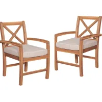 Harlanwood Brown Outdoor Accent Chair, Set of 2