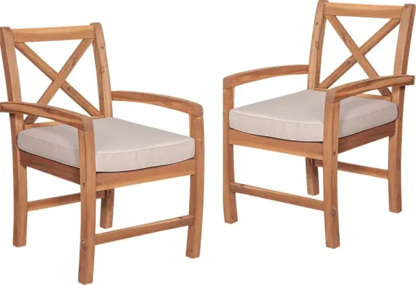 Harlanwood Brown Outdoor Accent Chair, Set of 2