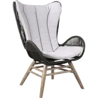 Anlynn Light Gray Outdoor Lounge Chair