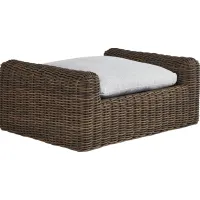 Plume Brown Outdoor Ottoman with Dove Cushion