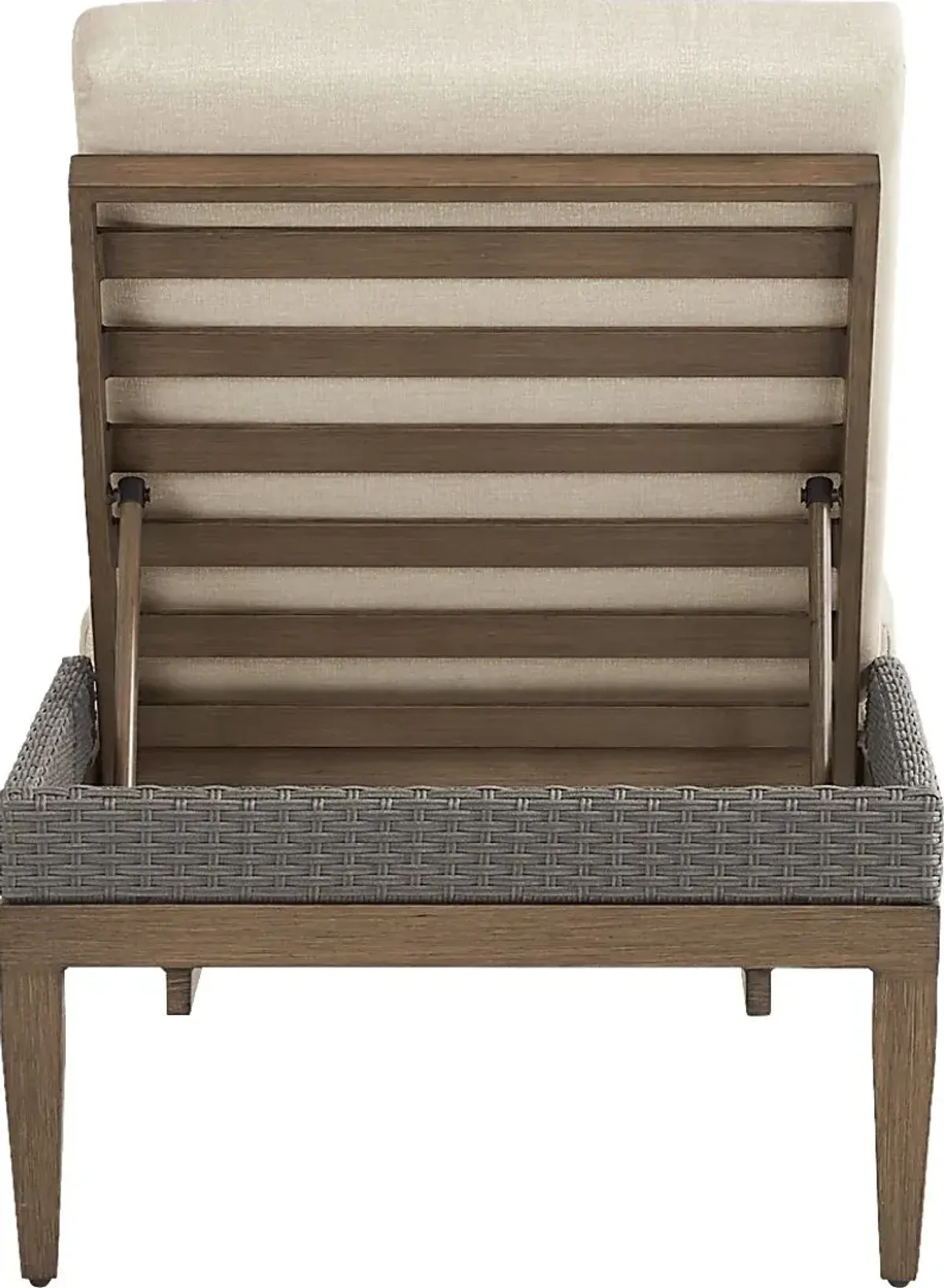 Point Reyes Brown Outdoor Chaise