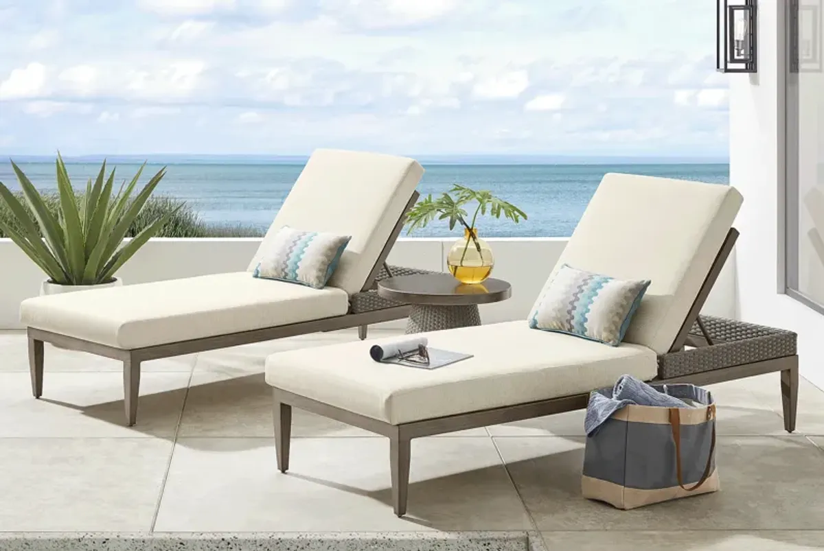 Point Reyes Brown Outdoor Chaise, Set of 2