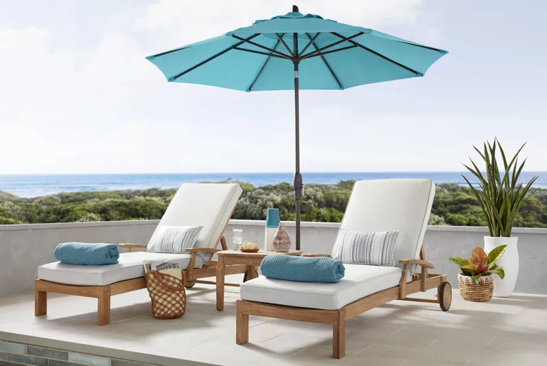 Pleasant Bay Teak Outdoor Chaise with Dove Cushions, Set of 2